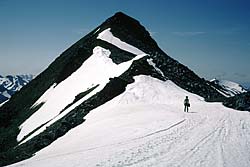 choinnich mor