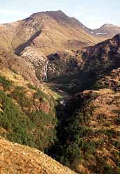 steall from above