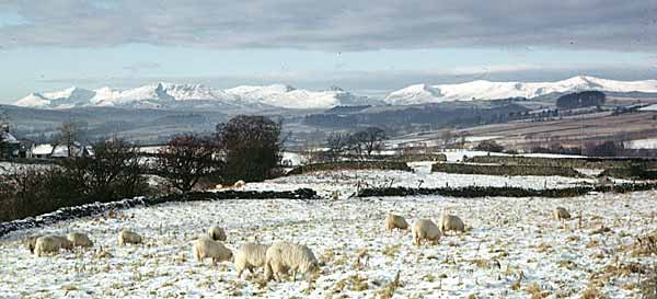 Ranges from Cerrig-y-Drudion