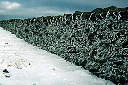 Wall on Foel Fras